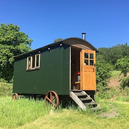 Cosy Woodland Off Grid Shepherds Hut - Rowan Villa Castle Douglas Dış mekan fotoğraf
