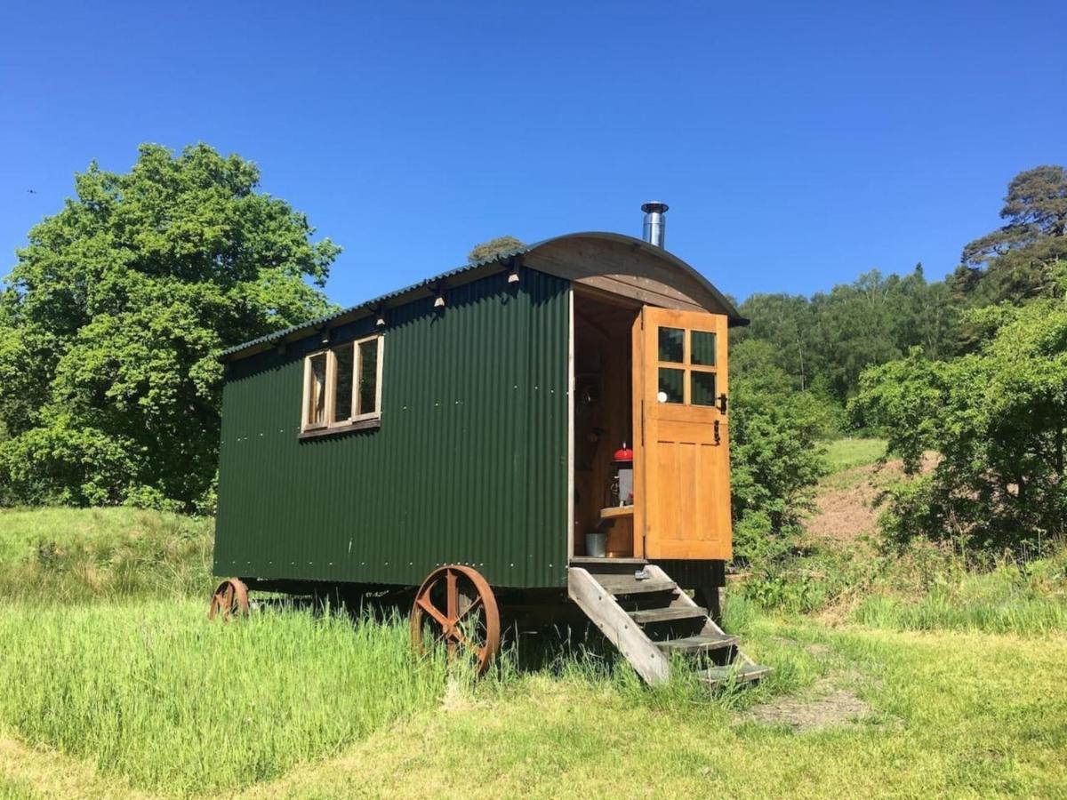 Cosy Woodland Off Grid Shepherds Hut - Rowan Villa Castle Douglas Dış mekan fotoğraf