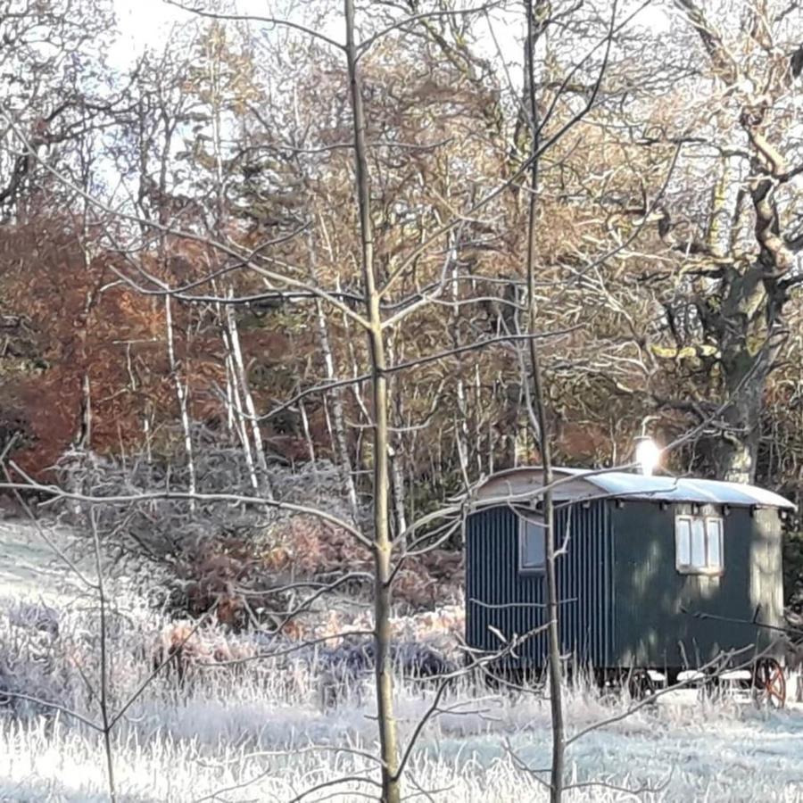 Cosy Woodland Off Grid Shepherds Hut - Rowan Villa Castle Douglas Dış mekan fotoğraf