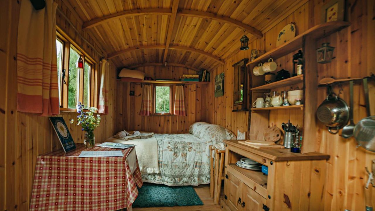 Cosy Woodland Off Grid Shepherds Hut - Rowan Villa Castle Douglas Dış mekan fotoğraf