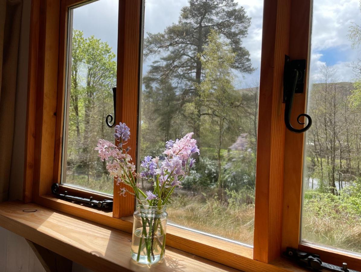 Cosy Woodland Off Grid Shepherds Hut - Rowan Villa Castle Douglas Dış mekan fotoğraf