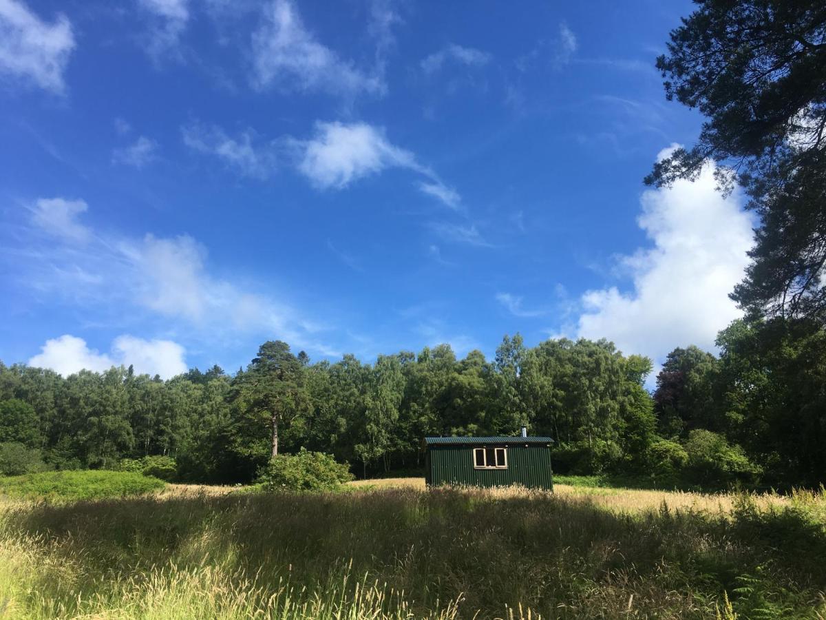 Cosy Woodland Off Grid Shepherds Hut - Rowan Villa Castle Douglas Dış mekan fotoğraf