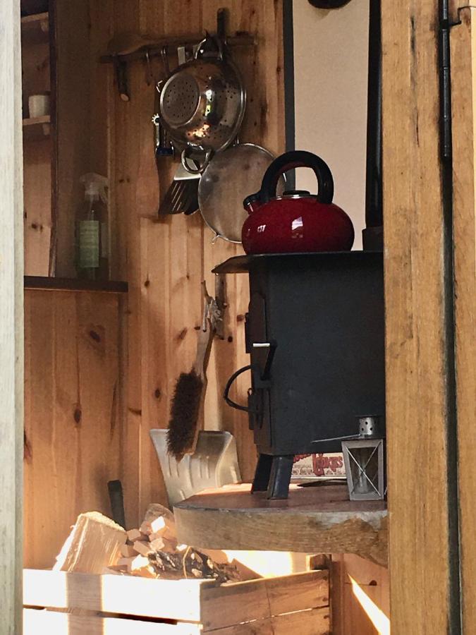 Cosy Woodland Off Grid Shepherds Hut - Rowan Villa Castle Douglas Dış mekan fotoğraf